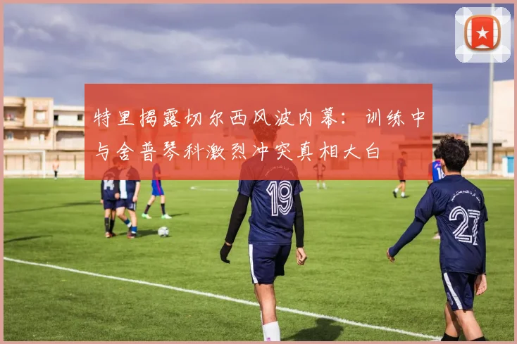 特里揭露切尔西风波内幕：训练中与舍普琴科激烈冲突真相大白